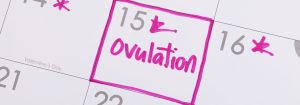 ovulation
